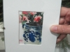 Anna Wang water color