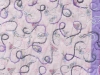Liz Edgar close up of Pat's quilting