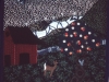 A Woodland Valley Scene
