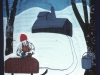 Sugarbush